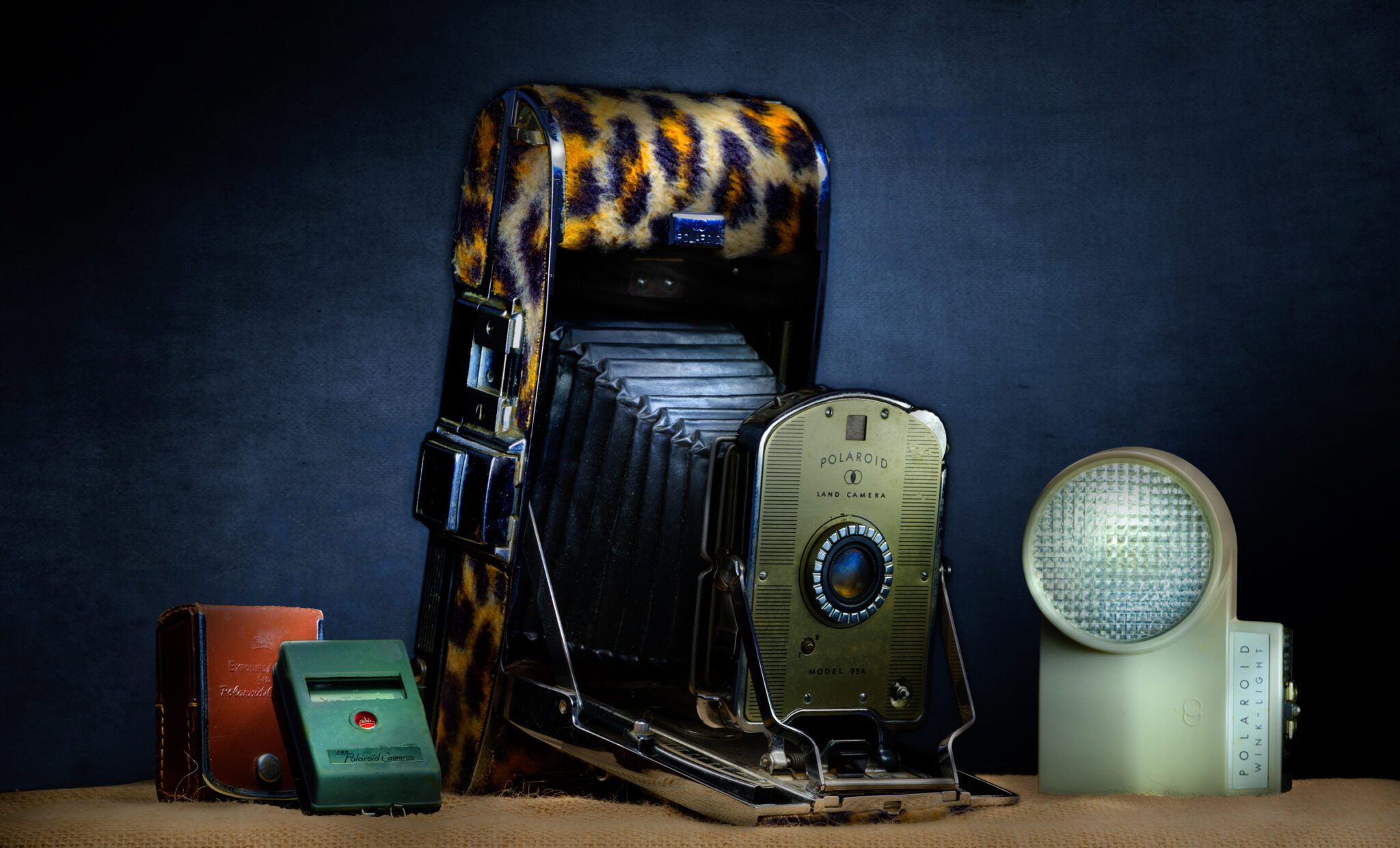 Polaroid Land Camera with Leopard Skin by Bobby Izquierdo