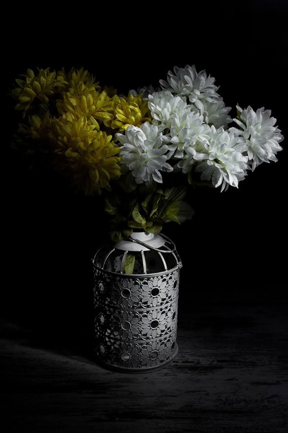 Still life light painting featuring white and yellow chrysanthemums arranged in a decorative metal vase against a black background