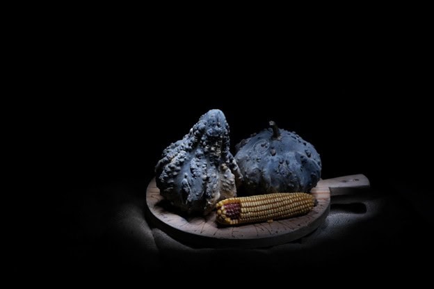 Still life light painting featuring two textured gourds and an ear of corn arranged on a wooden cutting board against a dark background