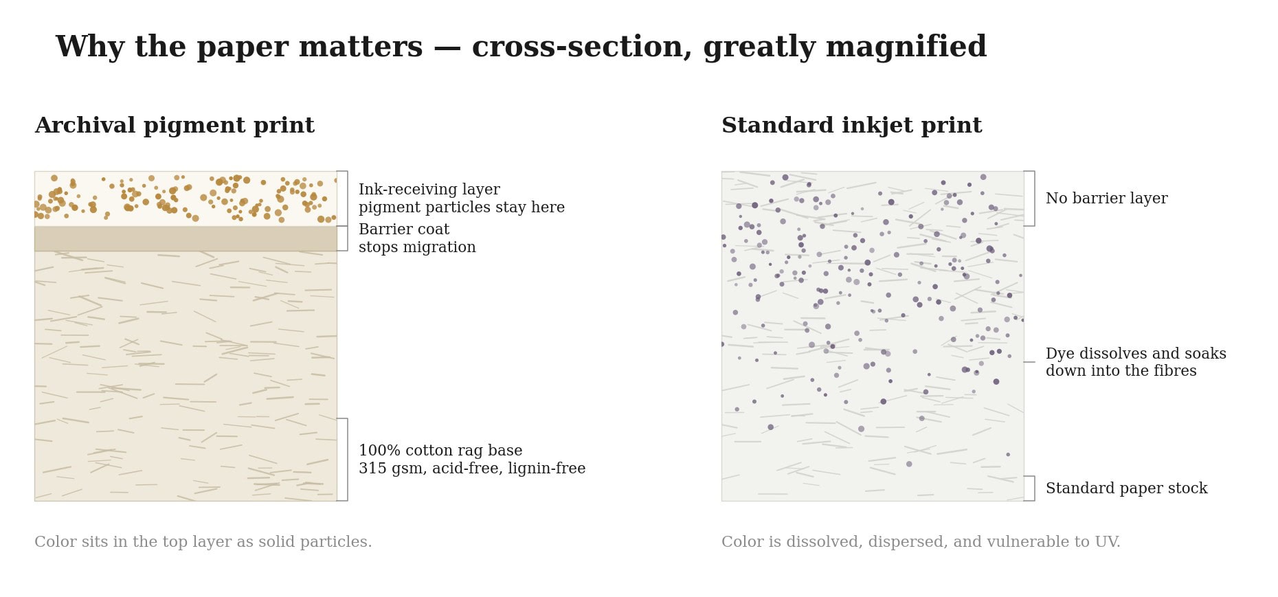 Cross-section, greatly magnified: pigment stays in the top layer; dye soaks into the fibres