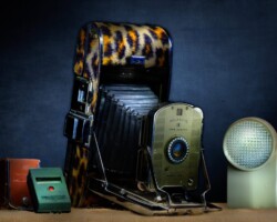Polaroid Land Camera with Leopard Skin Polaroid Land Camera with Leopard Skin by Bobby Izquierdo
