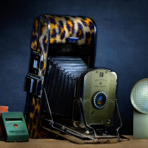 Polaroid Land Camera with Leopard Skin Polaroid Land Camera with Leopard Skin by Bobby Izquierdo
