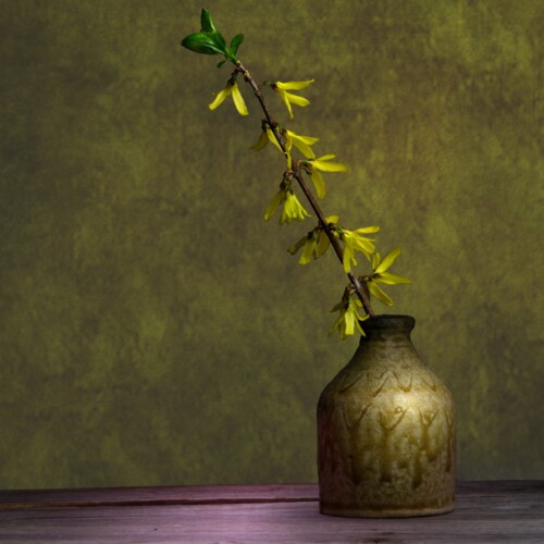 Still life light painting fine art print by Bobby Izquierdo, limited edition”