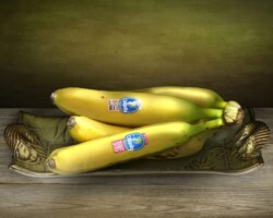 Bananas on a decorative tray, fresh and ripe, arranged on a rustic wooden surface with a textured background. Chiquita Bananas on Green Ceramic Tray by Bobby Izquierdo