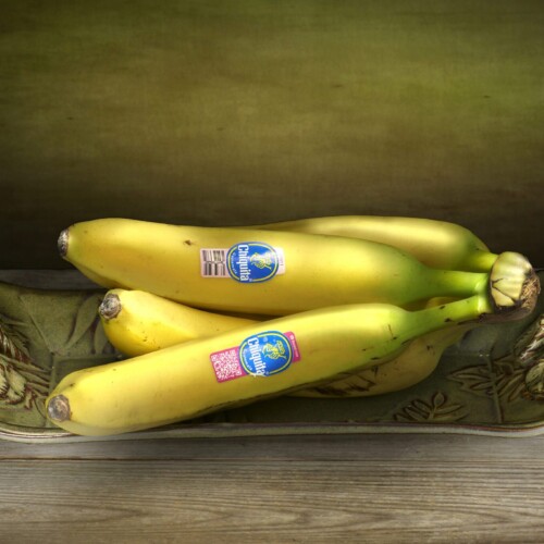 Chiquita Bananas on Green Ceramic Tray by Bobby Izquierdo