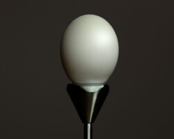 Egg balanced on a metallic stand against a dark background, highlighting minimalistic and modern design elements. Egg on Pedestal by Bobby Izquierdo